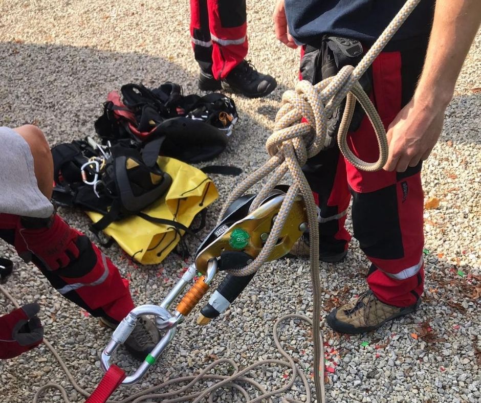 RED-team ingezet voor wespenverdelging